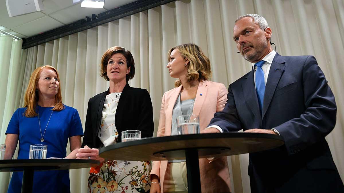 Under en presskonferens på tisdagen presenterar Alliansen förslag på nya så kallade "inträdesjobb". (Foto: TT)