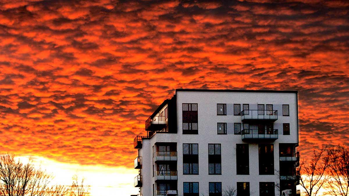 Så mycket faller priserna