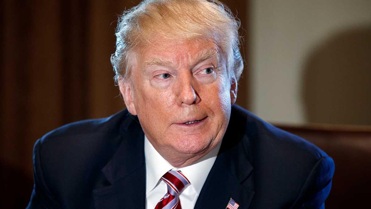 Amerikanska presidenten Donald Trump upprepar att han vill se en ny migrationspolitik som baseras på meriter. Det twittrar han på torsdagen. (Foto: TT)