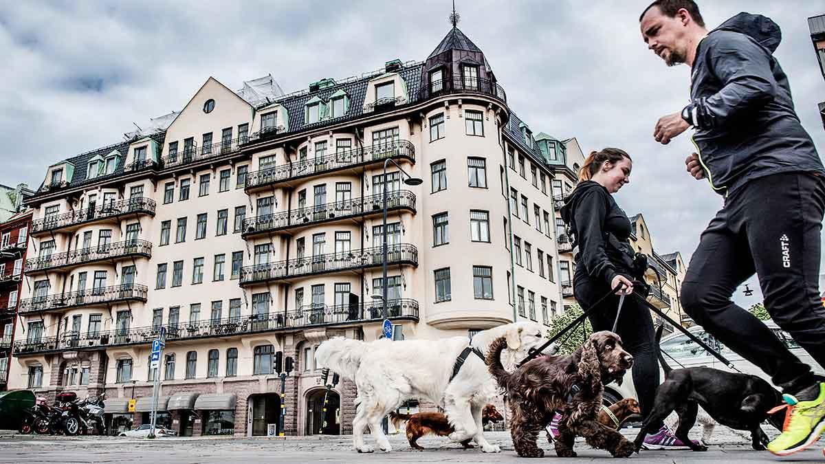 Förslagen i regeringsutredningen kan bli dyra för bostadsrättsägare. (Foto: TT)