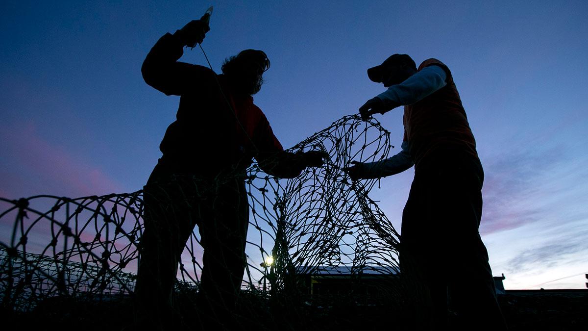 83-åringen som nu cashat hem 675 miljoner arbetade en gång i tiden som fiskare - och därefter som svetsare. (Foto: TT)