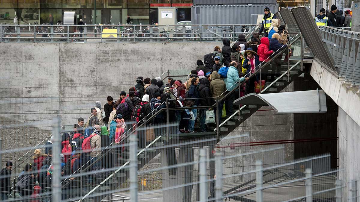 Att ge invandrare färre rättigheter än andra medborgare skulle kunna vara "en kompromiss"