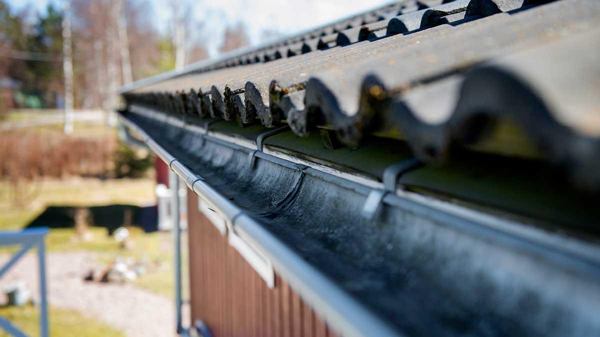 Fritidshus är den hustyp som faller först om marknaden vänder