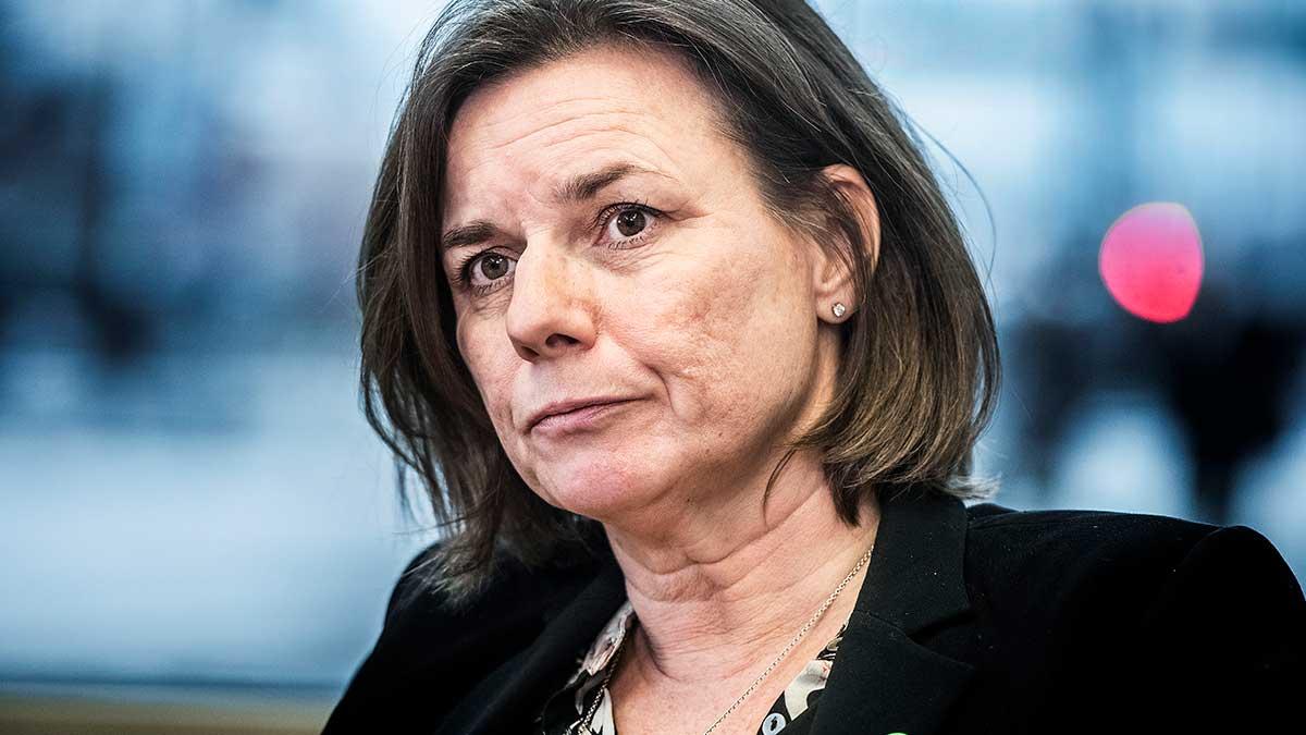 När svenska Sida-chefen Charlotte Petri Gornitzka tilldelades prestigeuppdraget i OECD nämnde regeringen