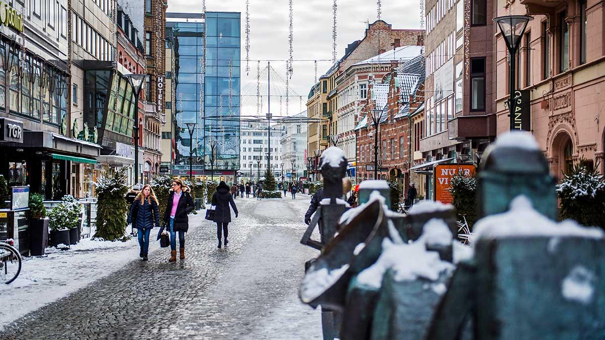 Efter utredningen har tre chefer som känt till den felaktiga rapporteringen arbetsbefriades från sina uppdrag. På bild: Malmö Centrum. (Foto: TT)