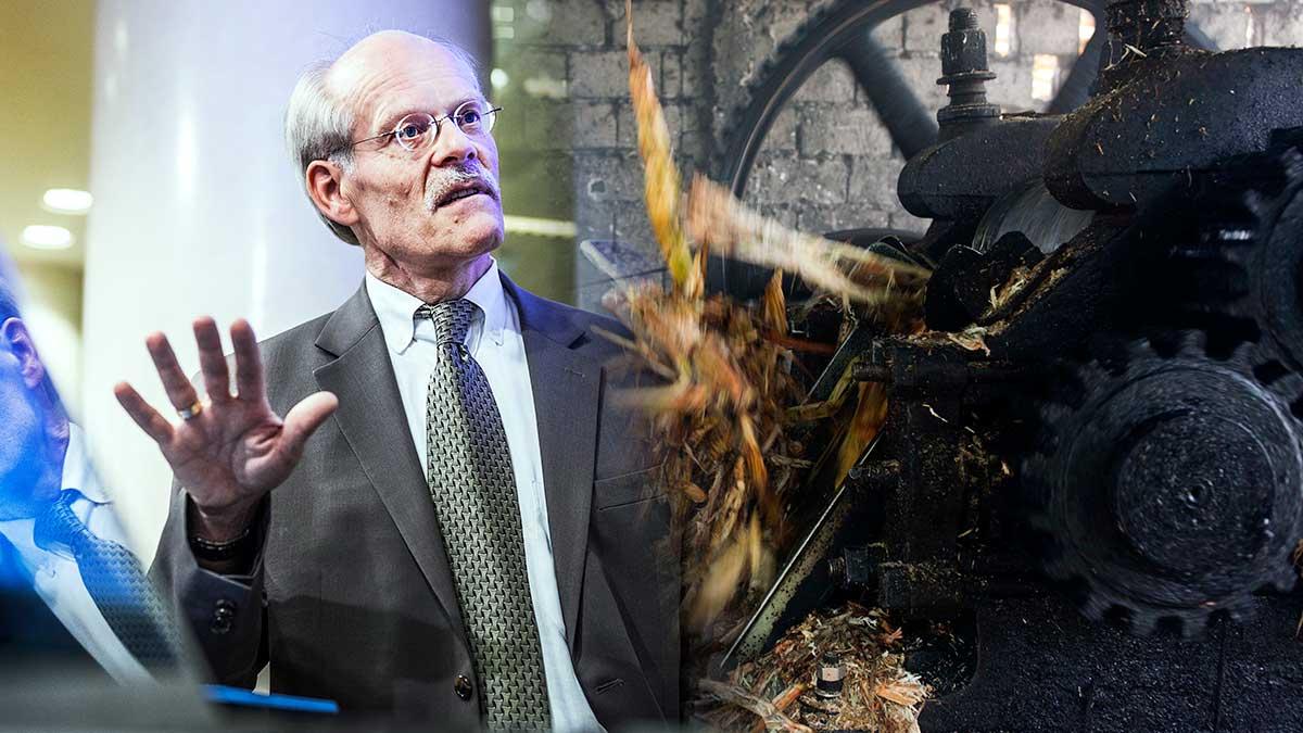 Riksbankschef Stefan Ingves och hans utländska kollegor har skapat "en långsiktig domedagsmaskin"