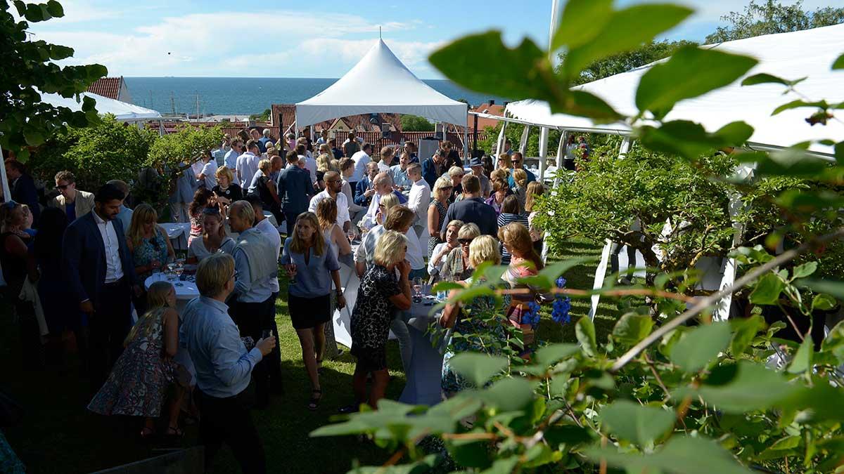 Mingla och kommunicera i sociala medier på rätt sätt - Nina Jansdotter hjälper dig. Bilden är från Almedalen på Gotland 2016. (Foto: TT)