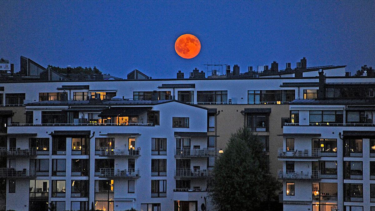 Danske Banks chefsekonom spår fortsatta prisnedgångar på bostadsmarknaden. (Foto: TT)