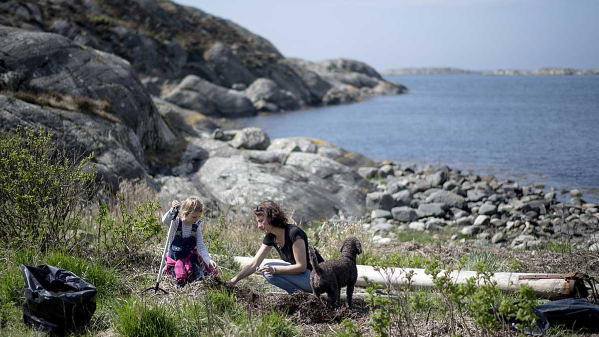 Du har väl inte glömt att "plogga" med familjen i sommar? (Foto: TT)