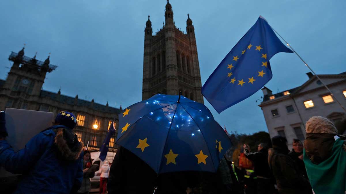 Tullverket och Statistiska centralbyrån uppmanar i ett brevutskick svenska företagare att redan nu förbereda sig på en hård brexit. (Foto: TT)