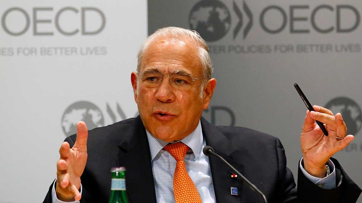 OECD:s generalsekreterare Jose Angel Gurria tvivlar på att en avtalslös brexit medför en ekonomisk katastrof. (Foto: TT)