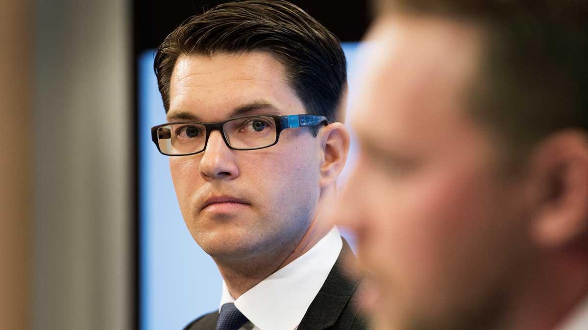 Jimmie Åkessons och Mattias Karlsson (närmast i bild) ger i Wall Street Journal Donald Trump rätt om läget i Sverige. (Foto: TT)