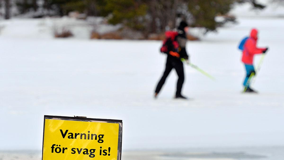 I artikeln får du veta vilka aktier som börsen just nu straffar - läge att skydda din portfölj? (Foto: TT)