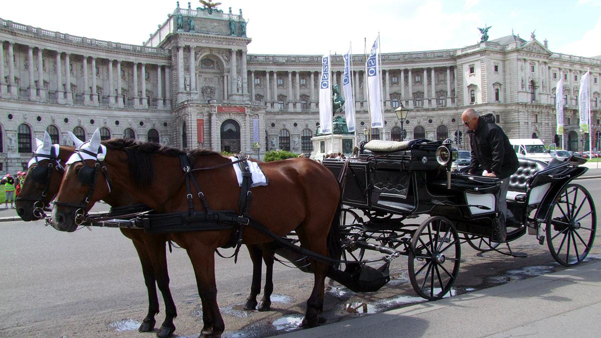 Wien klättrar mest på vårens resebokningslista hos Ticket. (Foto. TT)