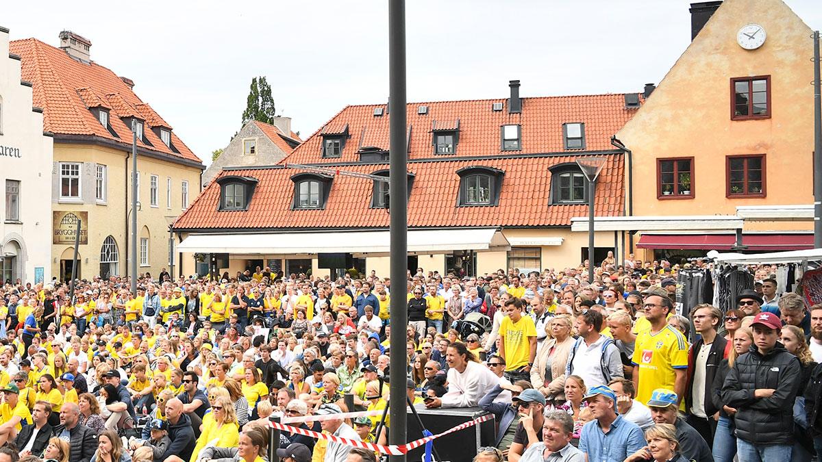 Gotland toppar listan över flest entreprenörer, procentuellt sett till befolkningsmängden. Bilden är tagen i ett annat Gotlandssammanhang. (Foto: TT)