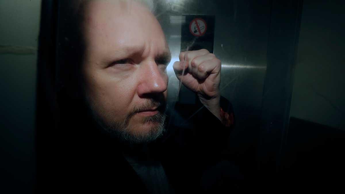 julian-assange-våldtäkt