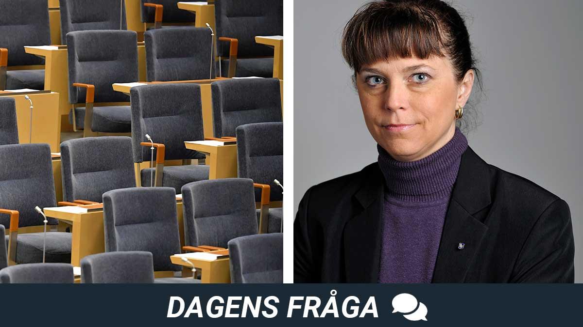 dagens-fråga-politisk-vilde