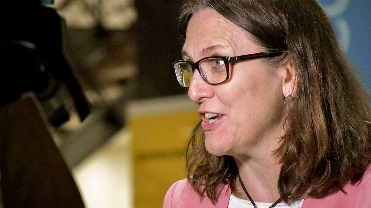 "Vi kommer inte att acceptera hanterad handel, kvoter eller frivilliga exportbegränsningar", deklarerar handelskommissionären Cecilia Malmström. (Foto: TT)