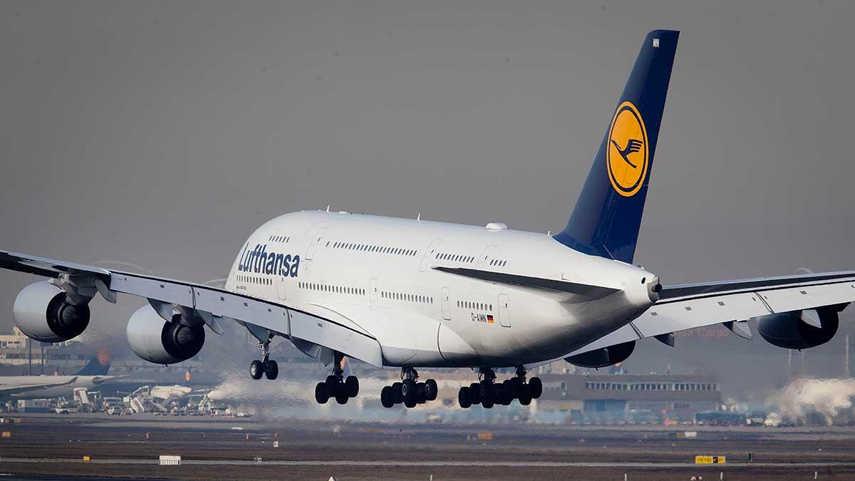 Lufthansas omsättning ökar, men vinsten minskar, visar kvartalssiffrorna. (Foto: TT)