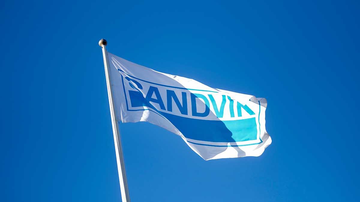 sandvik orderingång