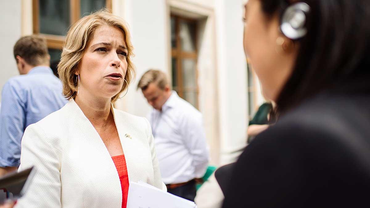 Socialförsäkringsminister Annika Strandhäll har beslutat sig för att lämna regeringen efter att hennes sambo hastigt avlidit. (Foto: TT)