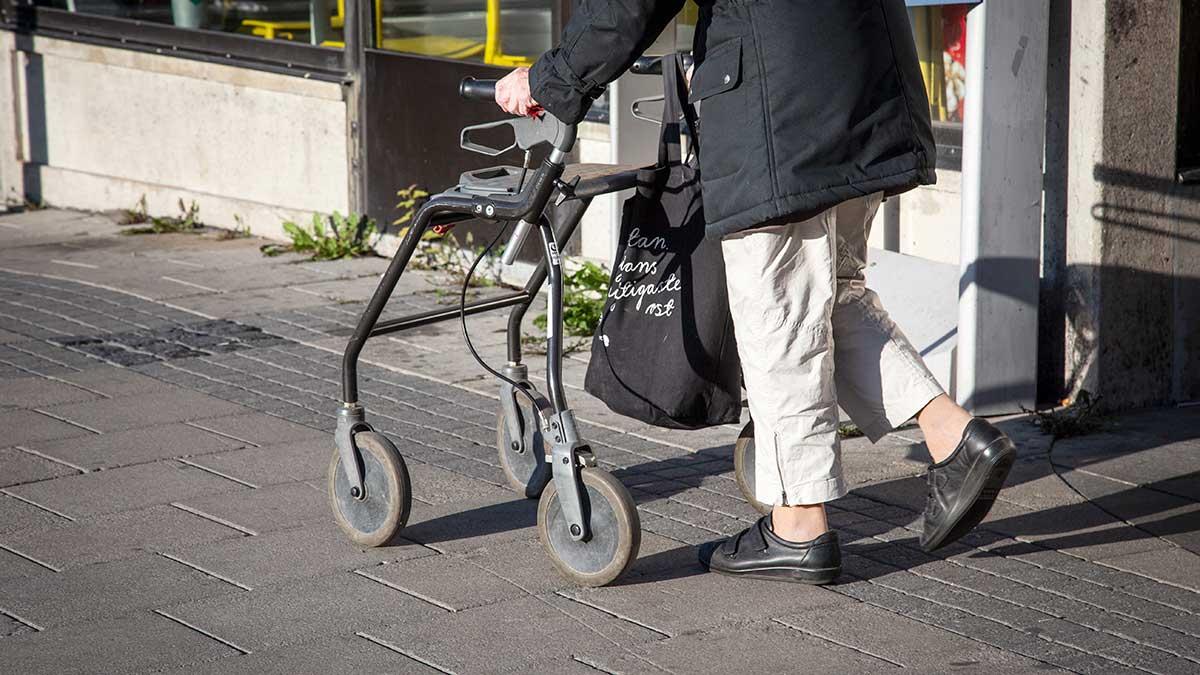 Riksdagen röstade på onsdagen igenom en höjning av pensionsåldern. (Foto: TT)