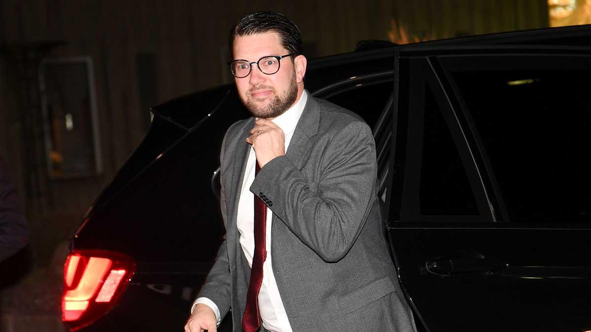 SD-ledaren Jimmie Åkesson. (Foto: TT)