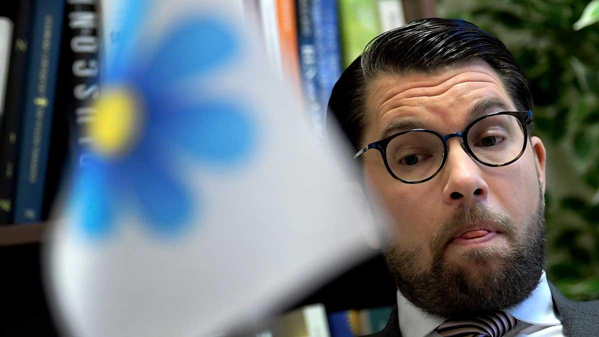 jimmie-åkesson-sd-stöd