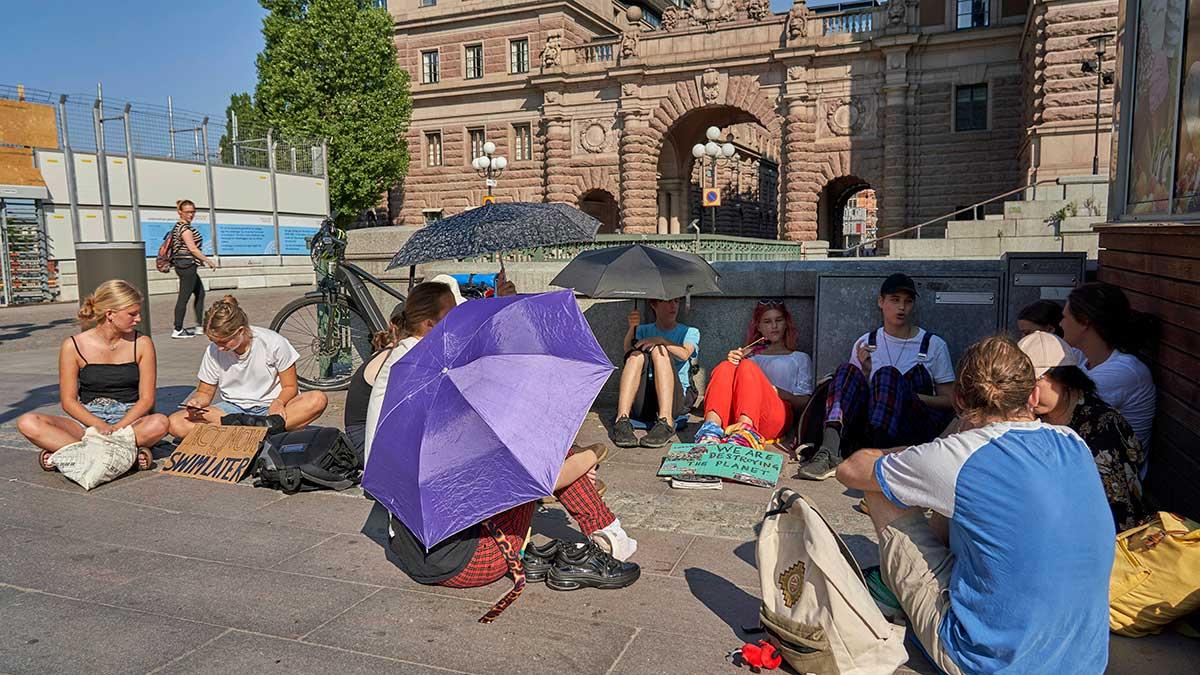 Fler än åtta av tio unga tycker att företagen har ansvar för en hållbar utveckling i samhället. (Foto: TT)