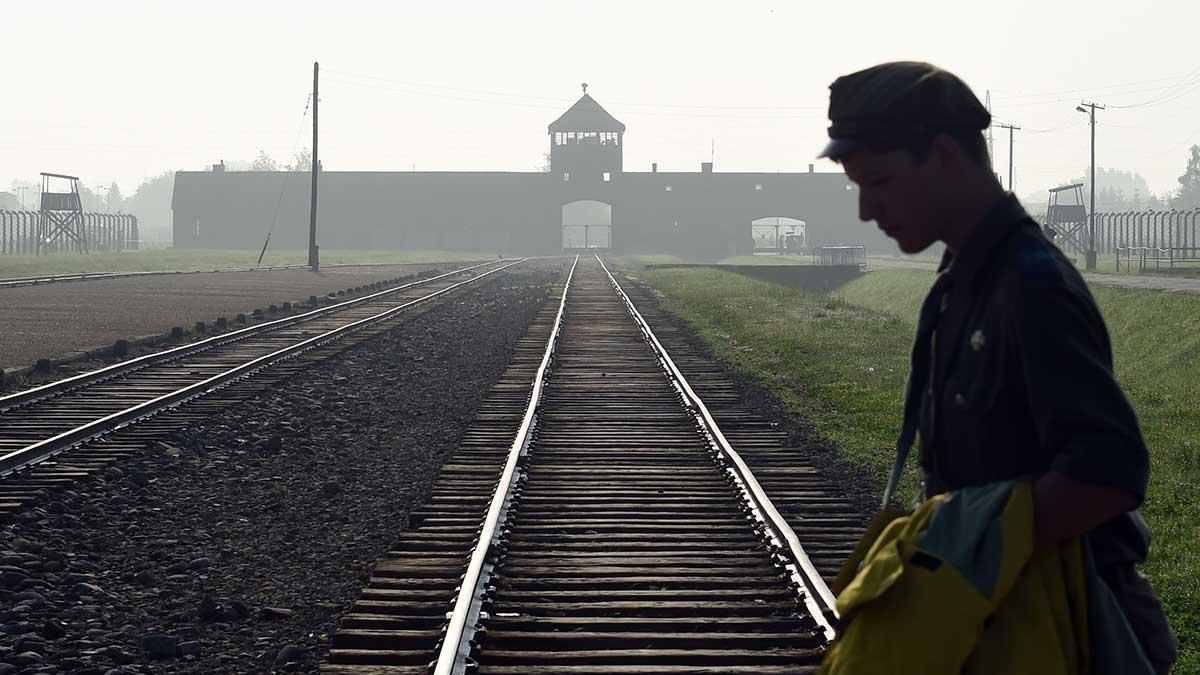 auschwitz-amazon-prydnader