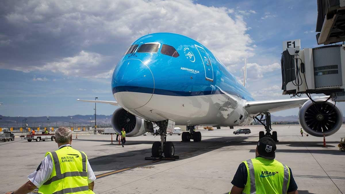 Fransk-nederländska flygjätten Air France-KLM föreslås köpa en större aktiepost i finansiellt pressade Malaysia Airlines, enligt Reuters källor, dock inte utan budmotstånd från inhemska aktörer. (Foto: TT)