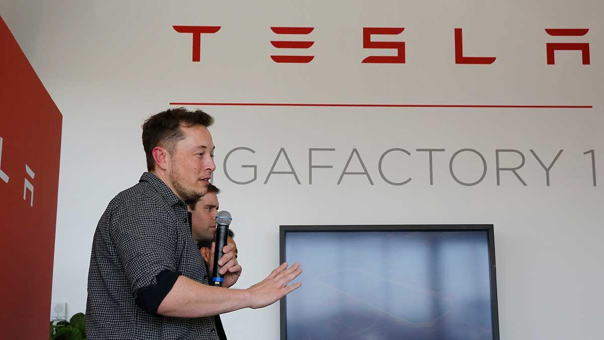 Tesla och japanska Panasonic har beslutat sig för att lägga ned sin gemensamma produktion av solceller. (Foto: TT)