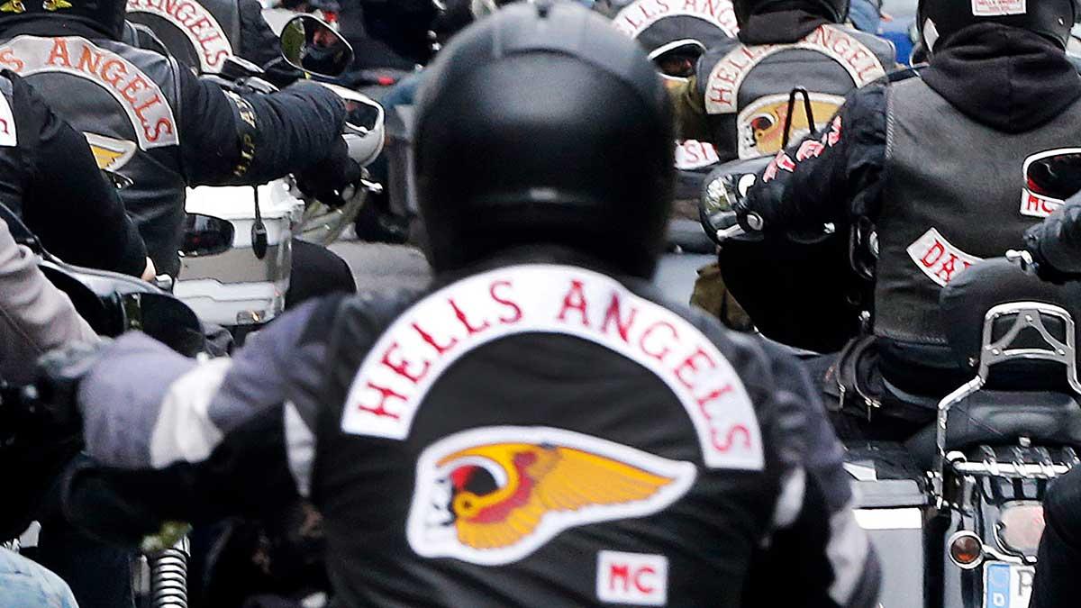 Hells Angels har enligt SVT:s Uppdrag granskning kopplingar till ett stort vindkraftsprojekt utanför Härnösand. (Foto: TT)