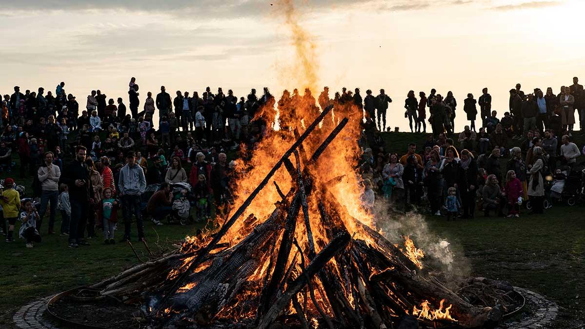 Folksamling vid valborgsbrasan. Men inte i år. Scouterna arrangerar nu valborgsfirandet digitalt på grund av coronakrisen. (Foto: TT)