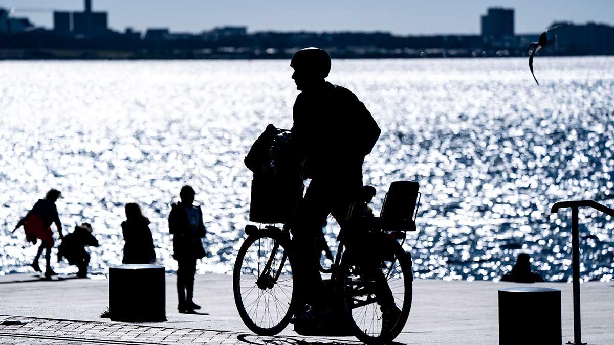 Handelsbanken skissar på tre tänkbara scenarier i coronakrisen. Banken anser att regeringen har råd med "betydlligt fler krisåtgärder" än vad som hittills har presenterats. (Foto: TT)