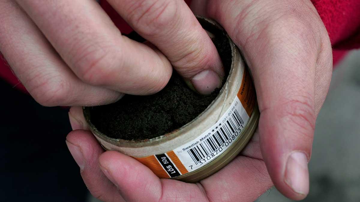 Kan snus, eller rättare sagt nikotinet i snus, skydda mot allvarlig covid-19? Ja, det ska en svensk forskargrupp nu undersöka. (Foto: TT)