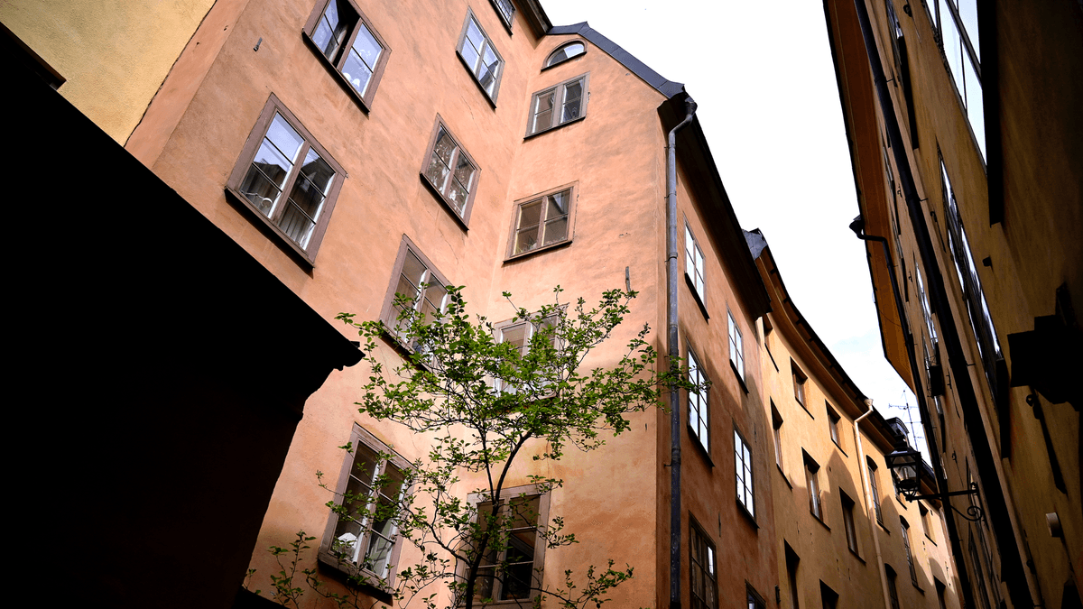 Bostadsmarknaden Hemnet Mäklarstatistik Staffan Tell