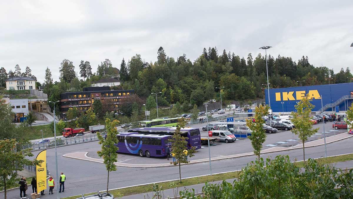 Nu blåser det upp till storm mot Ikea. Den svenska möbeljätten anklagas för att tillverka möbler av olagligt avverkade träd där djur och natur blir lidande. (Foto: TT)