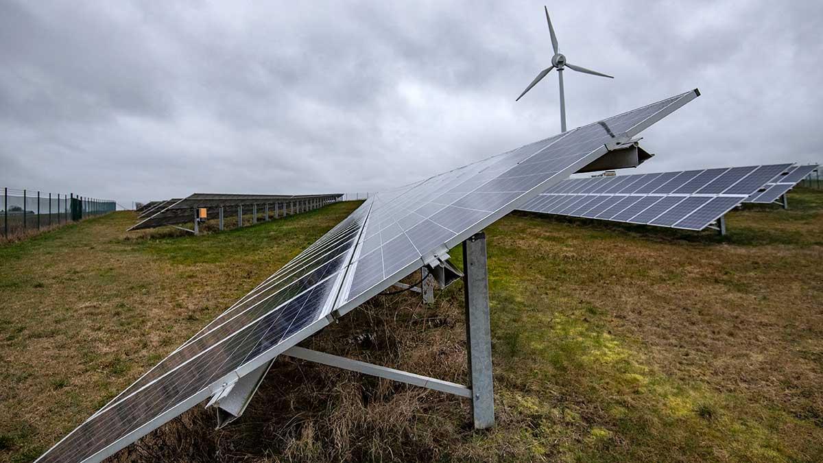 Sol- och vindkraft vinner mark medan kolanvändningen minskar. I dag står sol och vind för nära en tiondel av den globala elproduktionen. (Foto: TT)