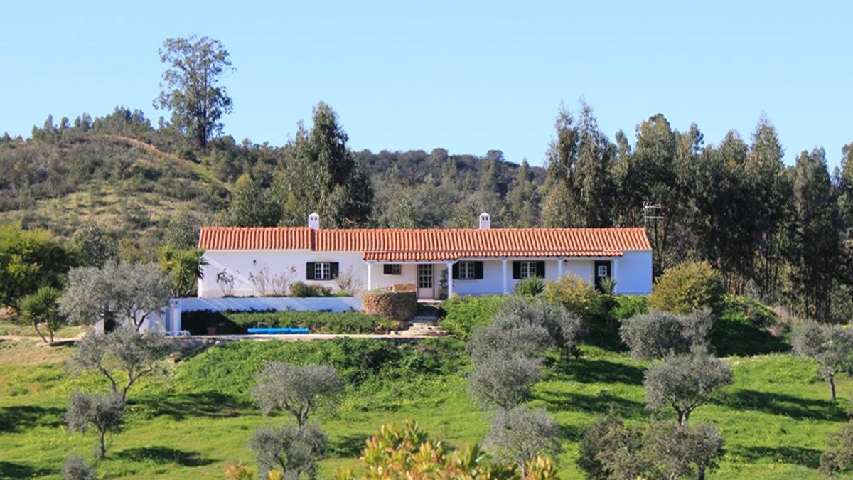 Gården i Portugal med utsträckta olivodlingar visade sig även rymma en hemlig spritfabrik. (Foto: Privat)