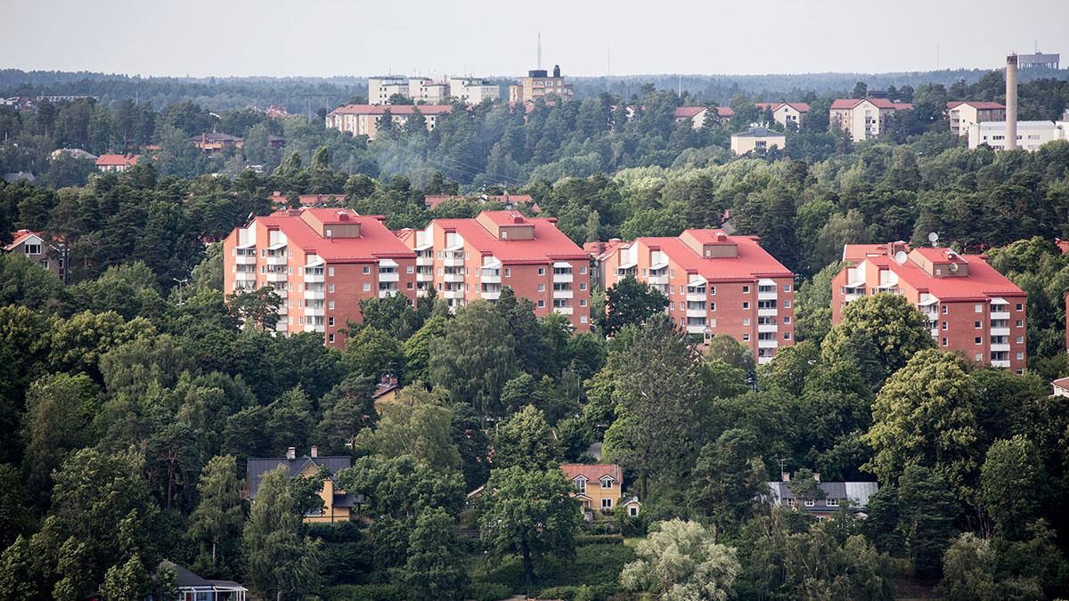 Mäklare behöver inte informera om tomträtt