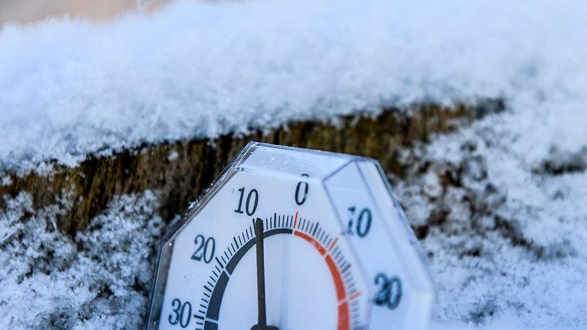 Di bjuder på ett par aktier som du enligt tidningens expert kan "övervintra i" under rådande börsfrossa. (Foto: TT)