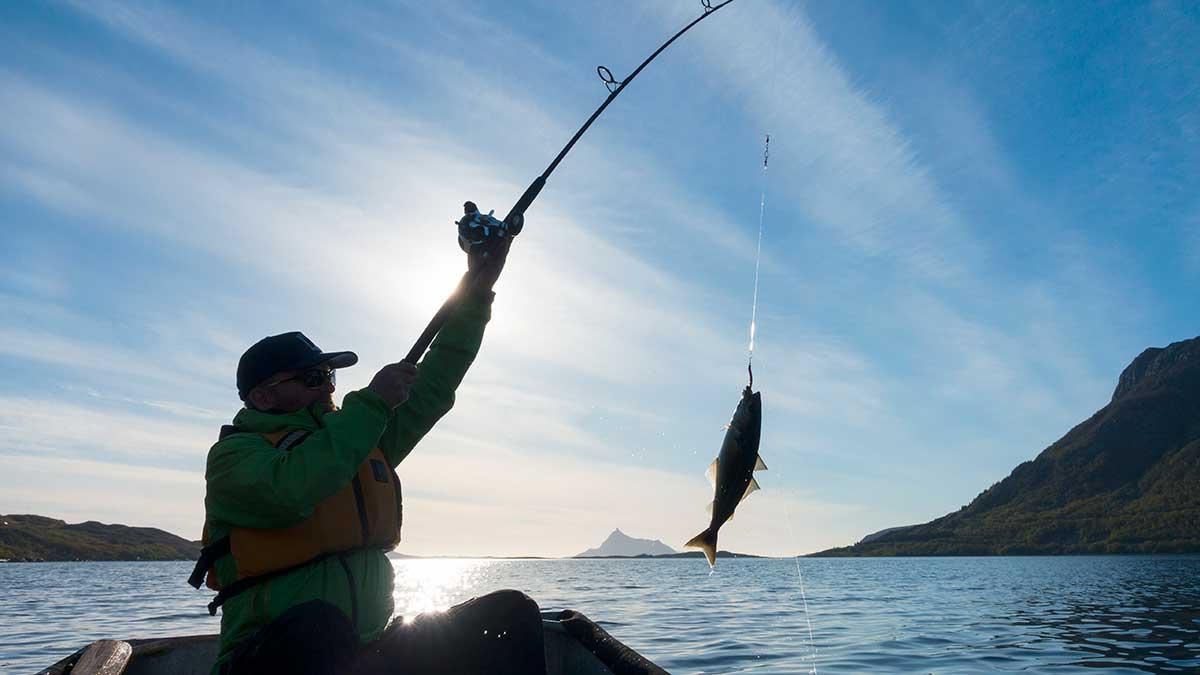 Passa på att bottenfiska Saab-aktien, det kan bli en riklig fångst enligt Dagens Industri. (Foto: TT)