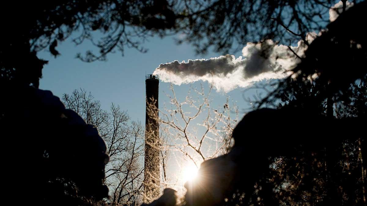 Det har rökt för alla fossila innehav i Skandias portfölj. (Foto: TT)