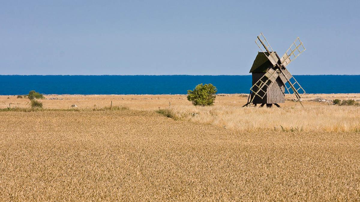 Borgholm Energi är en del av drygt 12 000 personers vardag på Öland. (Foto: Pixabay)