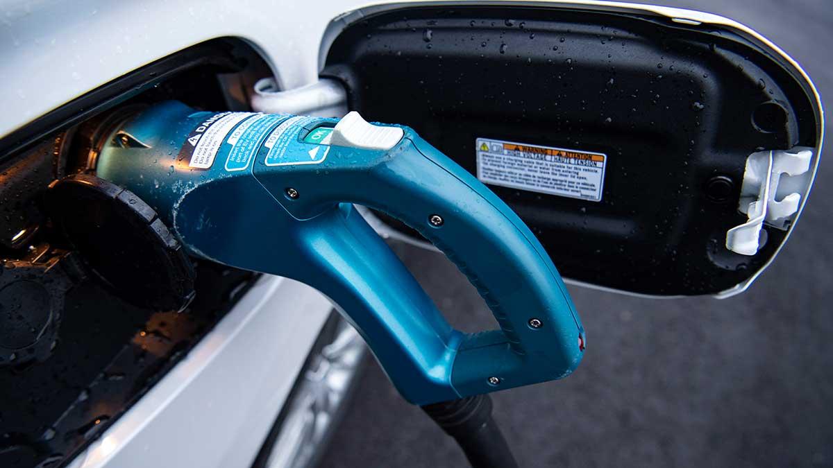 Laddhybrider pekas ut av miljöorganisationen T&E som en ny dieselgate. "Laddhybrider är fejkelbilar", dundrar Julia Poliscanova, senior fordonsexpert på T&E. (Foto: TT)