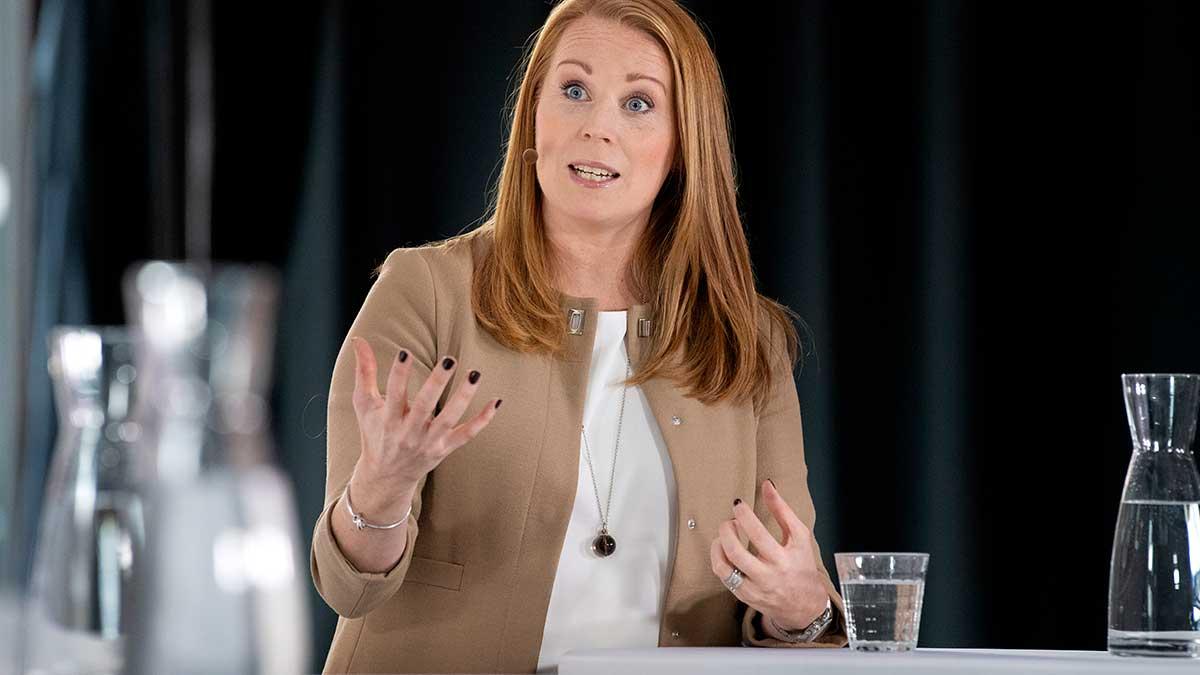 Med utökade coronarestriktioner från regeringen anser Annie Lööf (C) att det brådskar med ytterligare stödåtgärder till företagen. (Foto: TT)