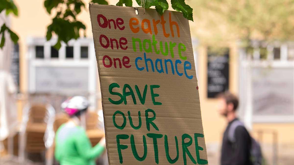 AP7 kräver att svenska företag tar strid mot internationell negativ klimatlobbying. (Foto: TT)