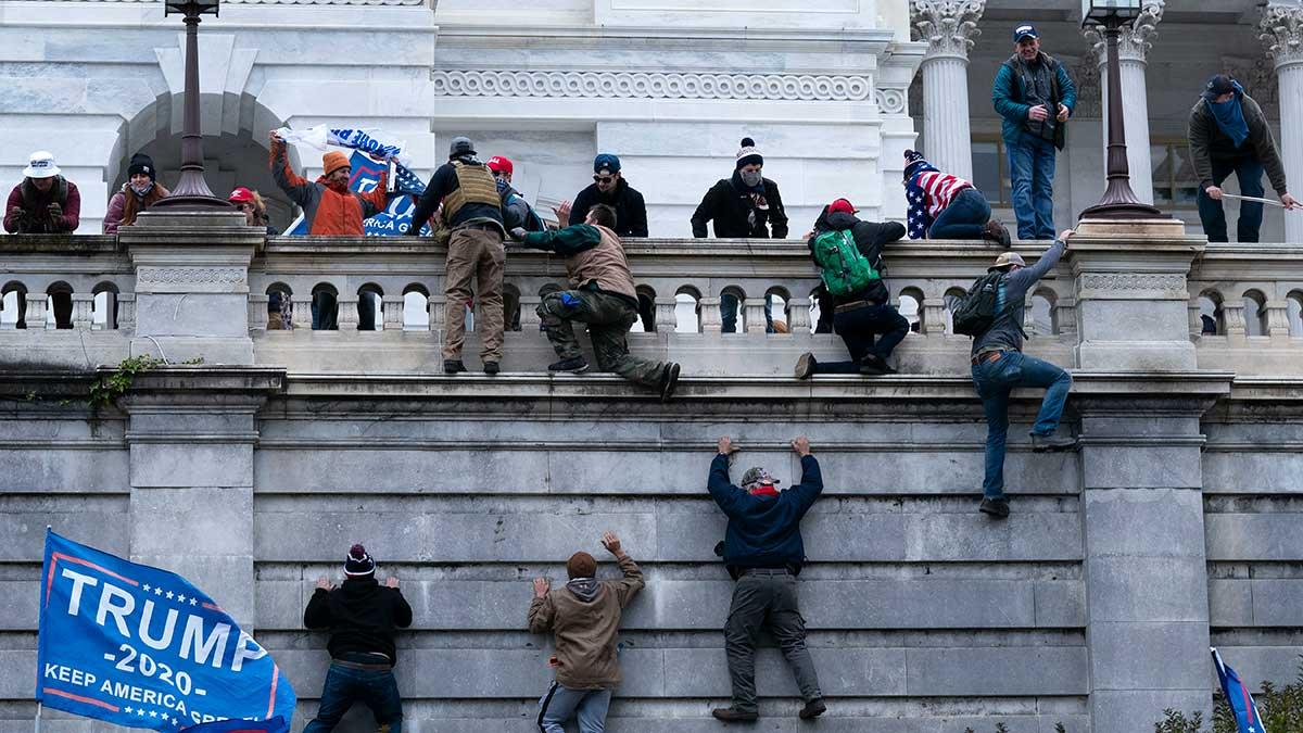 Chockscener. Trumpanhängarna forcerade barriärerna vid Kapitolium och tog sig in i byggnaden. (Foto: TT)