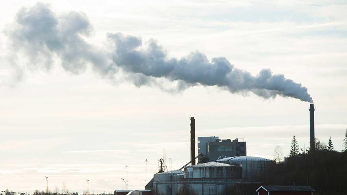 Det stora privata initiativet för en säker klimatkompensation dras med många problem.